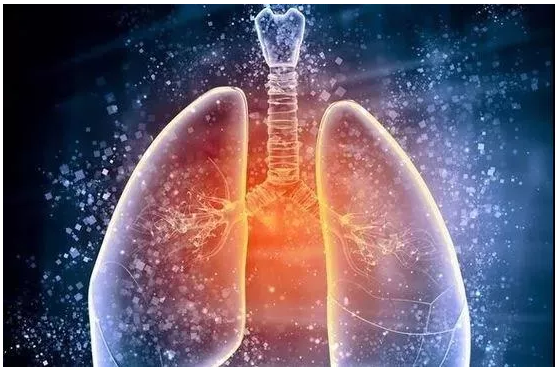 确诊已破7.7万！全民养肺，刻不容缓！学会几种养肺法，自我防护，抵抗病毒！